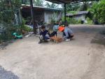 ฉีดวัคซีนป้องกัน โรคพิษสุนัขบ้า ประจำปี 2565 แก่สุนัขและแมวใ